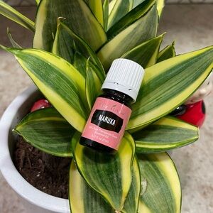 Young Living Manuka Essential Oil